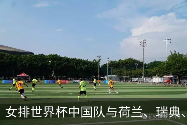 女排世界杯中国队与荷兰、瑞典、瑞士队同组