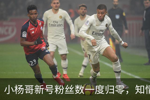 小杨哥新号粉丝数一度归零，知情人士称系数据展示异常，目前账号粉丝数已经正常显示