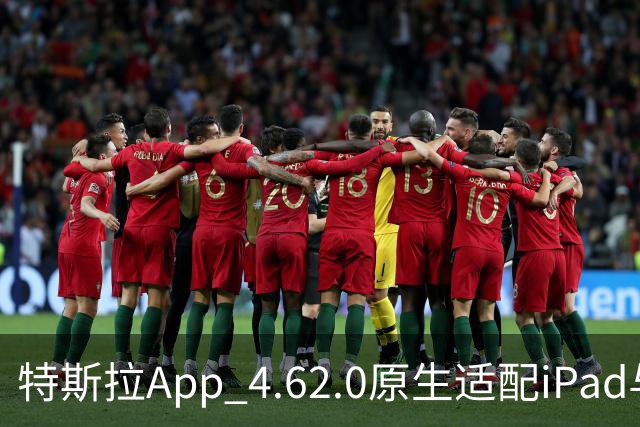 特斯拉App 4.62.0原生适配iPad与iPhone Duo