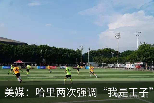 美媒：哈里两次强调“我是王子”，而威廉王子则称“直呼其名即可”