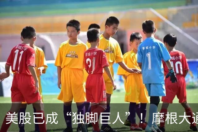 美股已成“独脚巨人”！摩根大通、BTIG同时预警：指数全靠七大科技巨头托底，60%成分股进入技术性熊市