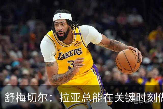 舒梅切尔：拉亚总能在关键时刻做出扑救，他出击摘高空球也进步了