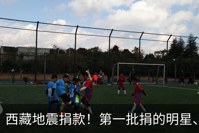 西藏地震捐款！第一批捐的明星、企业令人感到意外，马云太体面